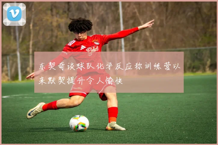 东契奇谈球队化学反应称训练营以来默契提升令人愉快