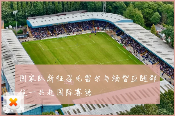 国家队新征召毛雷尔与杨智应随邵佳一共赴国际赛场