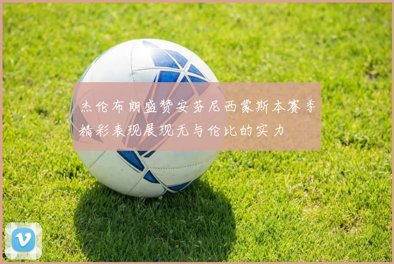 杰伦布朗盛赞安芬尼西蒙斯本赛季精彩表现展现无与伦比的实力