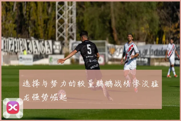 选择与努力的较量鹈鹕战绩惨淡猛龙强势崛起