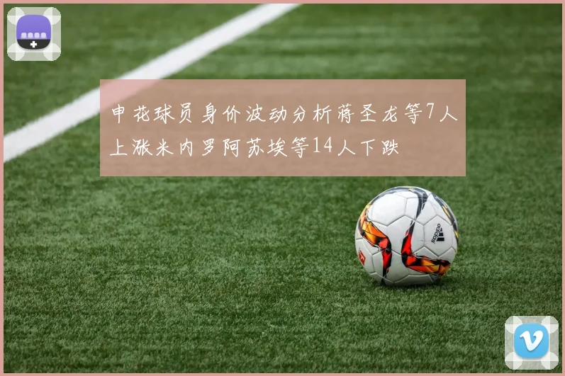 申花球员身价波动分析蒋圣龙等7人上涨米内罗阿苏埃等14人下跌